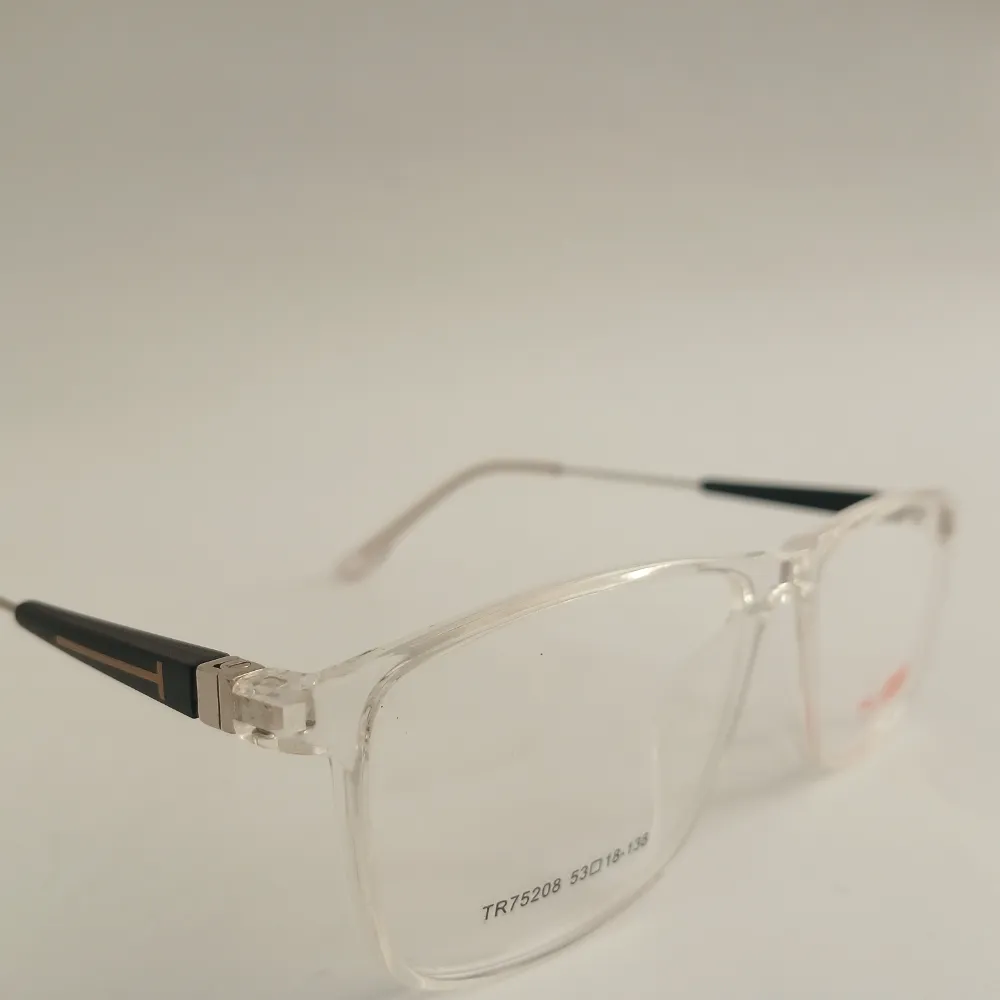 Men Women Rectangle Acetate Metal Transparentsilver Large Eyeglasses Efspmul1 03 by Eye9 Optics